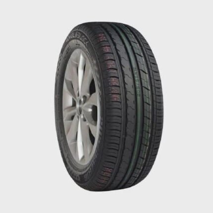 Pneu Aro 19 25550R19 107V xl Royal Performance Royal Black